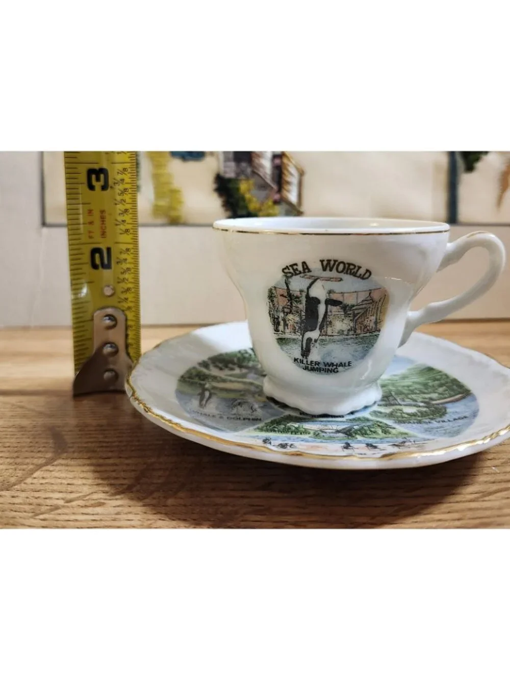 VTG Sea World Souvenir Demitasse Espresso Cup & Saucer Set Porcelain
